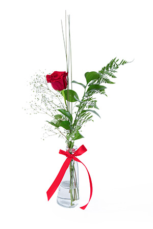 Send Roses  on Send A Single Splendid Rose To That Special Someone As A Wonderful