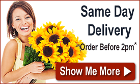 Order Flowers Delivery Melbourne The Best Ideas Australia Online Flower Delivery Melbourne